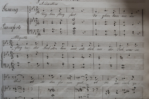 PY01091 - Rukopisný sborník skladeb - kníže Pavel Metternich