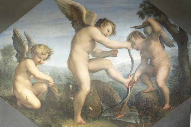 Obraz po sejmutí laků a nečistot